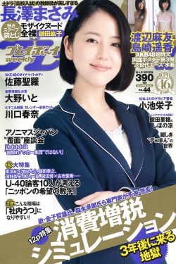 火蓝刀锋28集